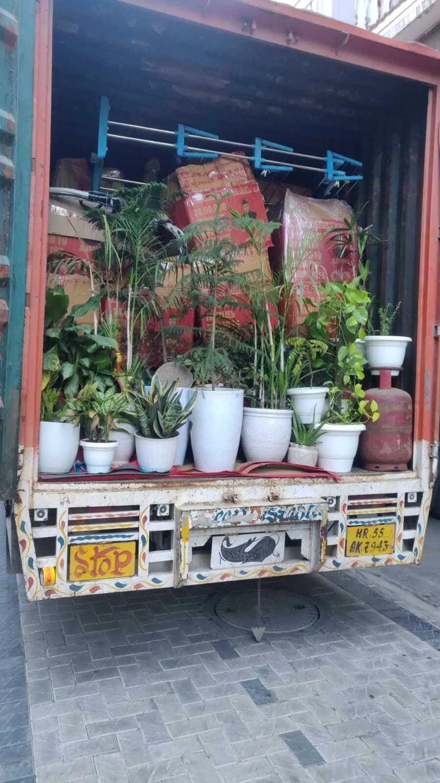 Household goods packing and home shifting service by Safexpress - 35